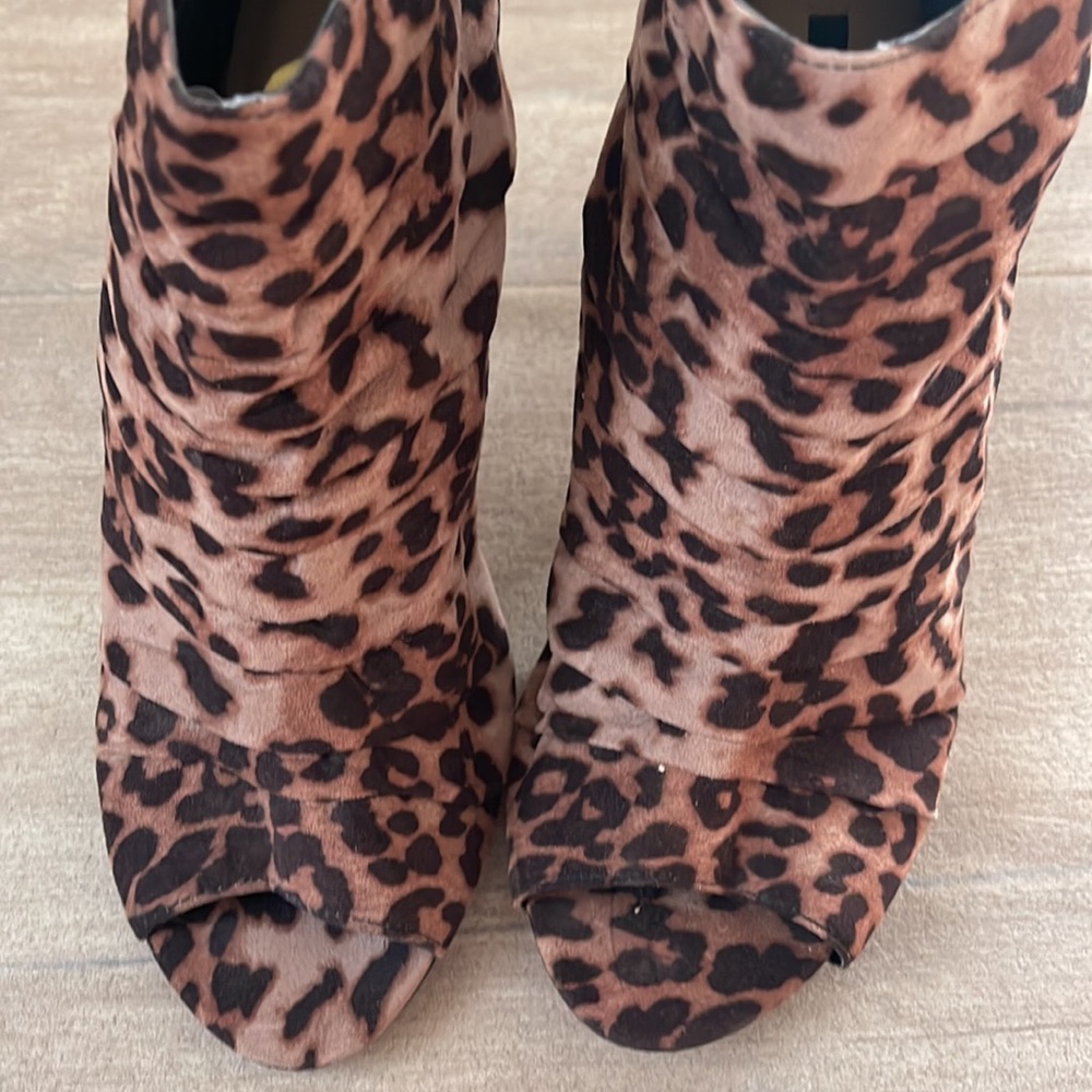 Leopard - Picture 5 of 5